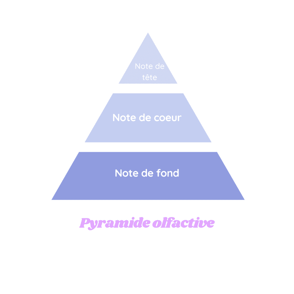 Bien choisir le parfum de sa bougie grâce à la pyramide olfactive