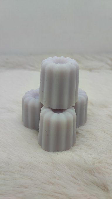 Fondant parfumé Musty